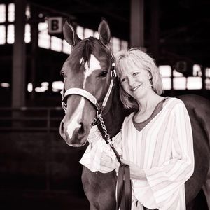 Make us an offer!! 🐴